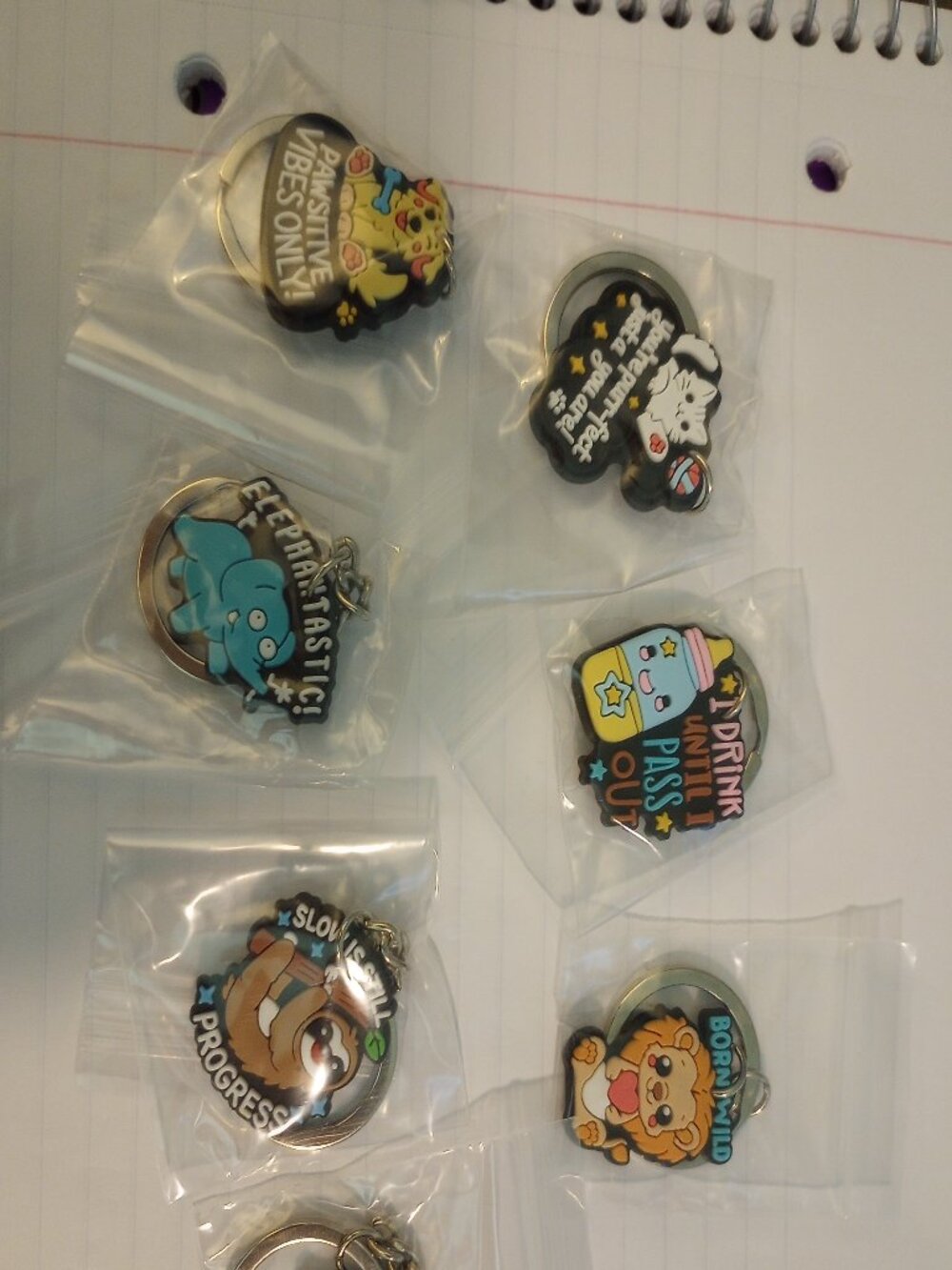 NWOT 7 motivational/funny keychains